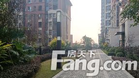 直播封面