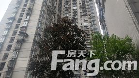直播封面