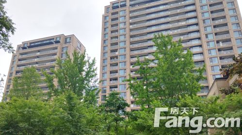 花木绿城锦绣兰庭