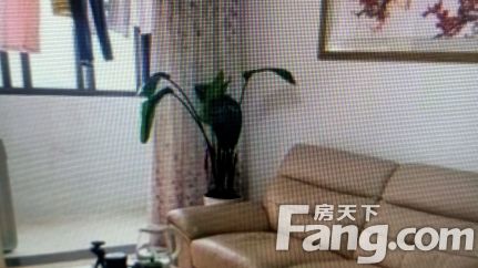 直播封面