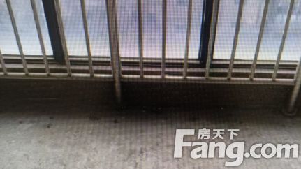 直播封面