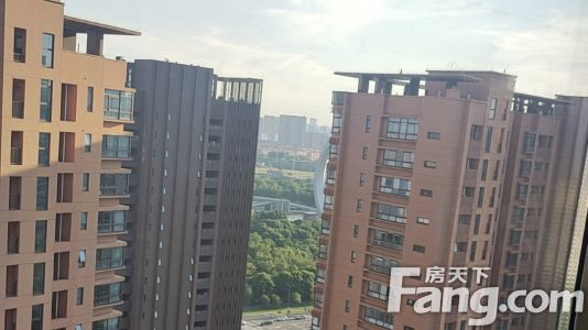 直播封面