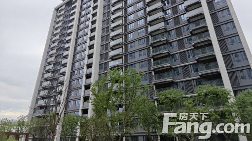 直播封面
