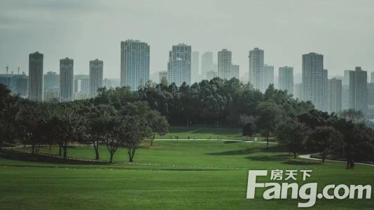 直播封面