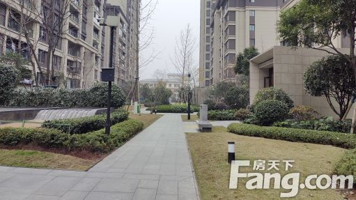 新城金科桃李郡