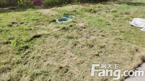 直播封面
