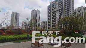 直播封面