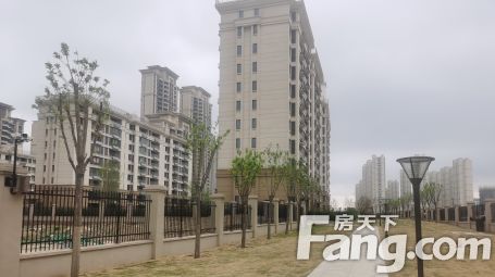 直播封面