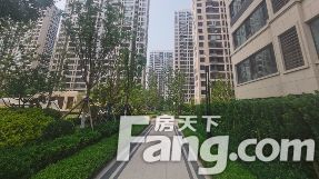 直播封面