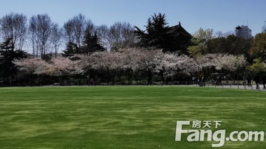 直播封面