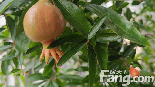 直播封面