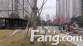 直播封面