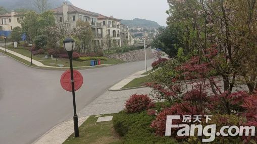 直播封面