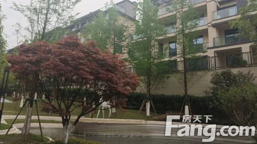 直播封面
