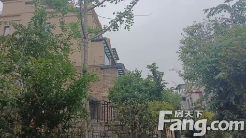 直播封面