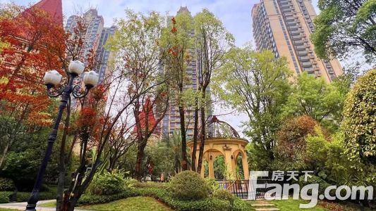 直播封面