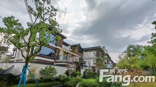 直播封面