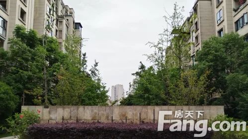 直播封面