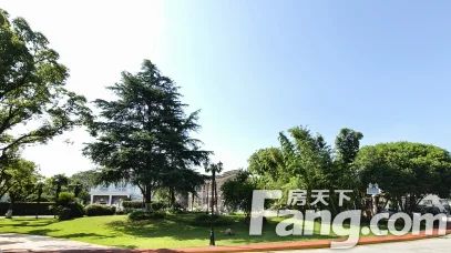 绿宝锦庭
