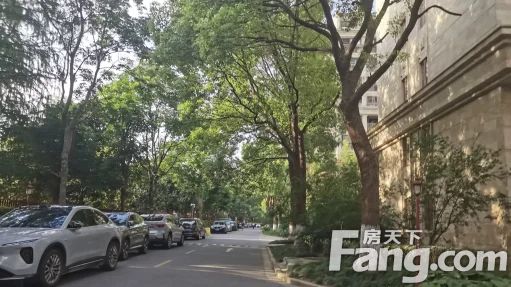 直播封面
