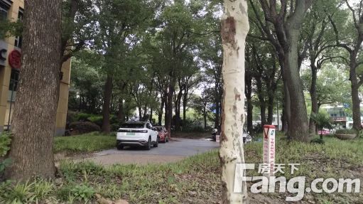 直播封面