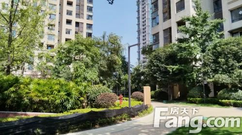 直播封面