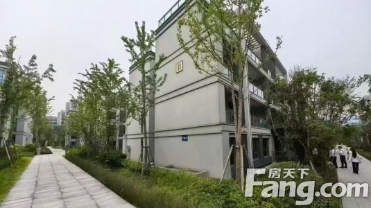 直播封面