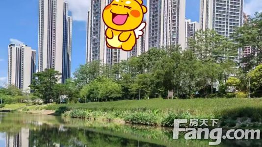 直播封面