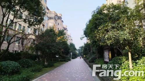直播封面