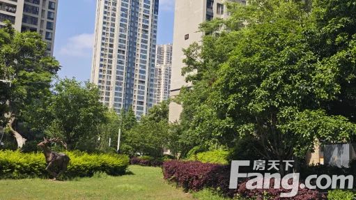 直播封面