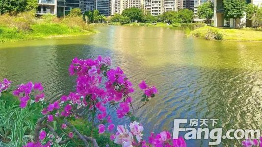 直播封面