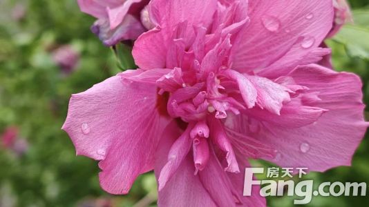 直播封面