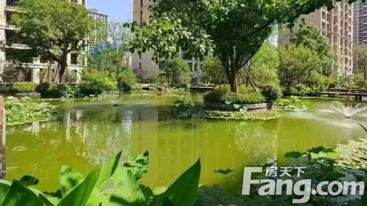 直播封面