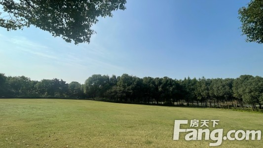 直播封面