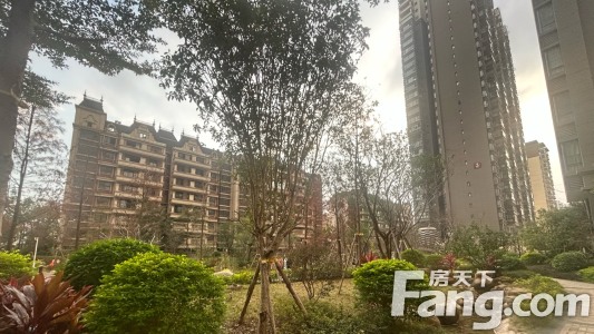 直播封面