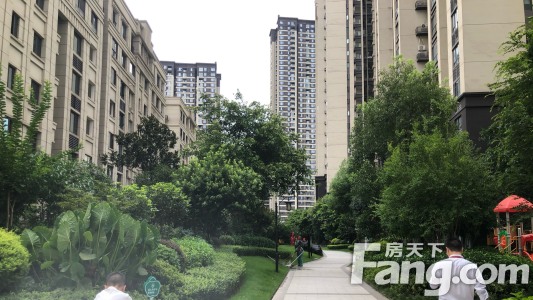 直播封面