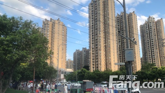 直播封面