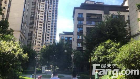 直播封面