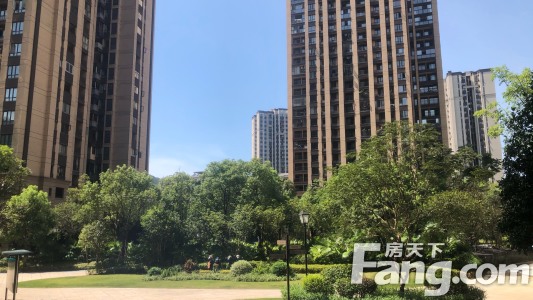 直播封面