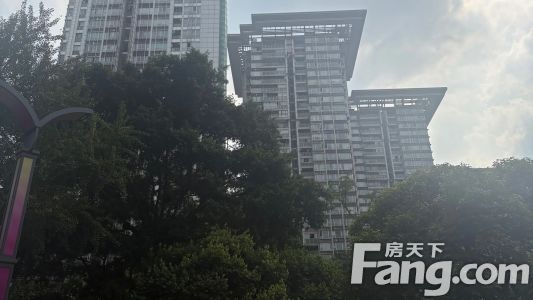直播封面