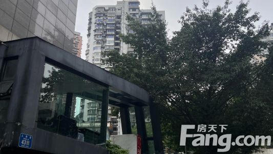 直播封面