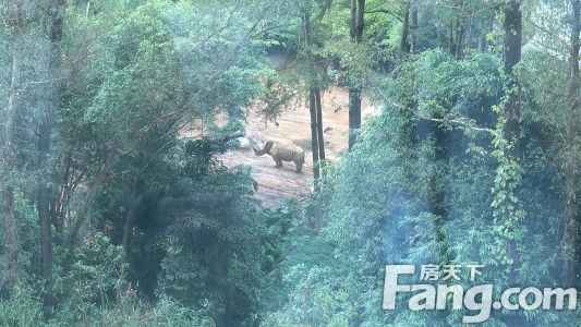 直播封面