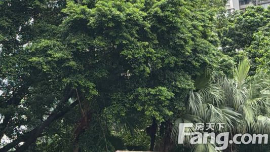 直播封面