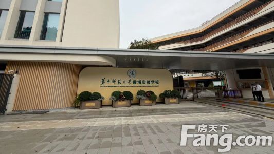 直播封面