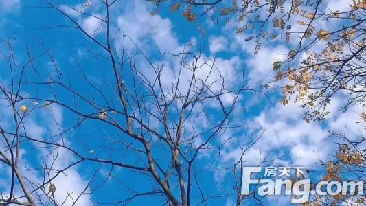 直播封面